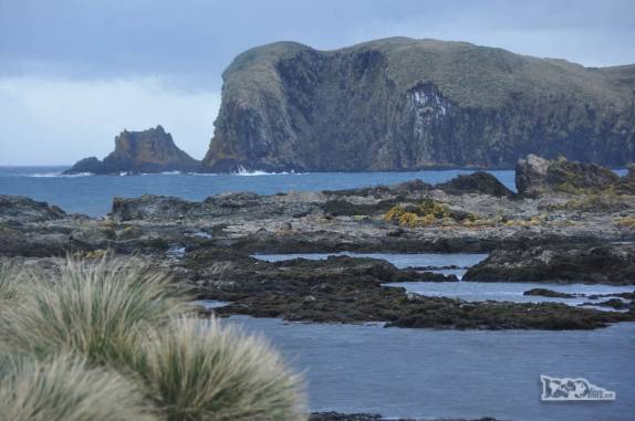 O magnífico cenário visto de Prion Island, na Geórgia do Sul